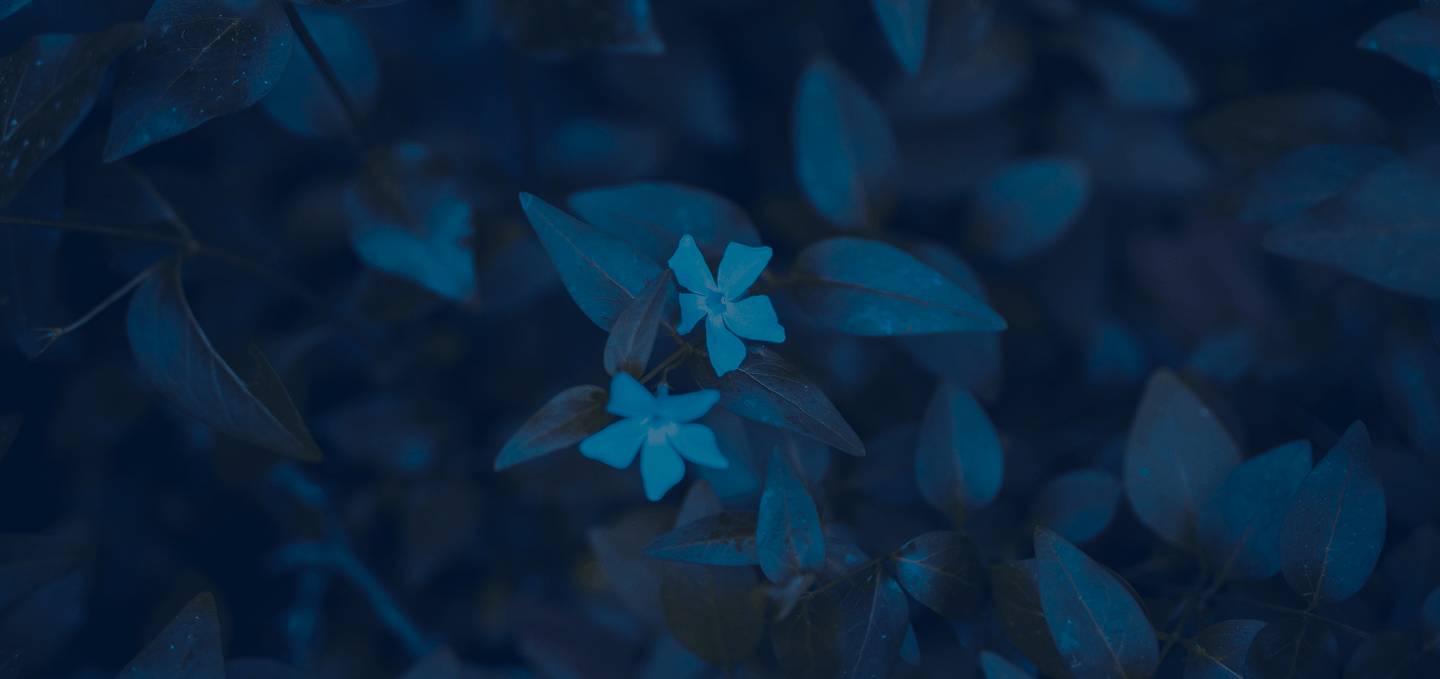 bg-img